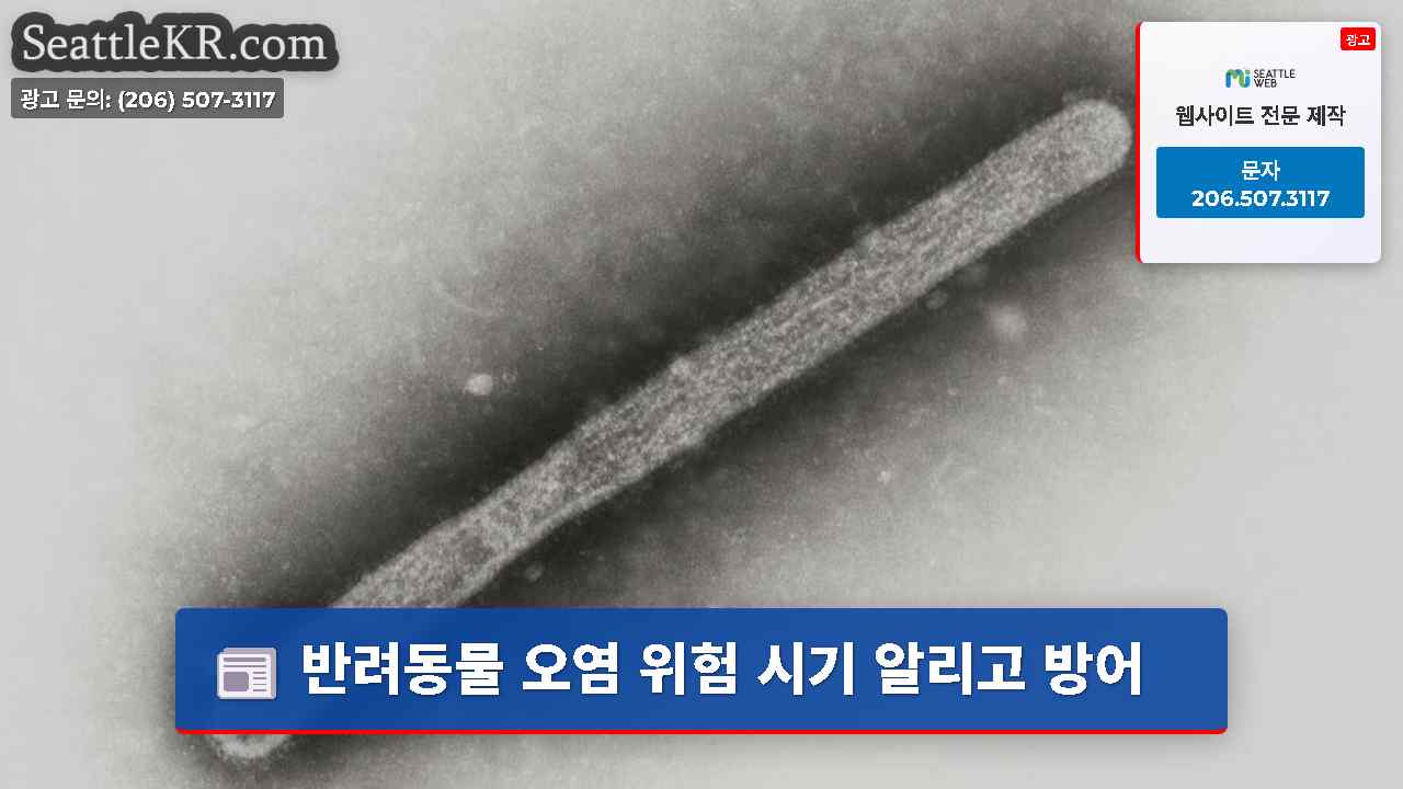 반려동물 오염 위험 시기 알리고 방어