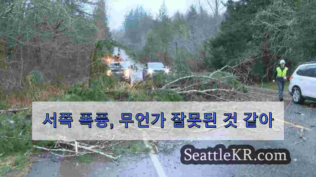 시애틀 뉴스 SeattleKR