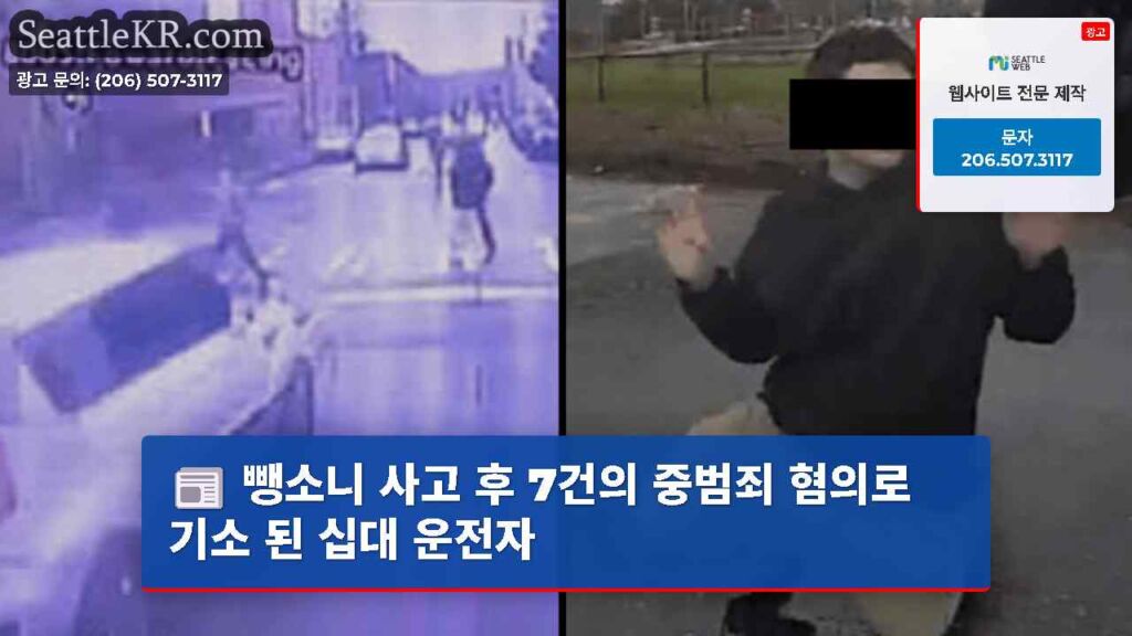 뺑소니 사고 후 7건의 중범죄 혐의로 기소 된 십대 운전자