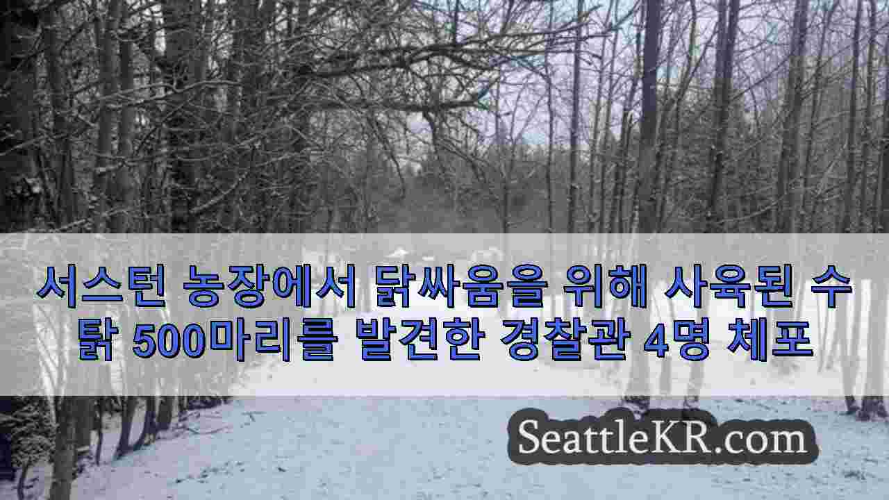 시애틀 뉴스 SeattleKR