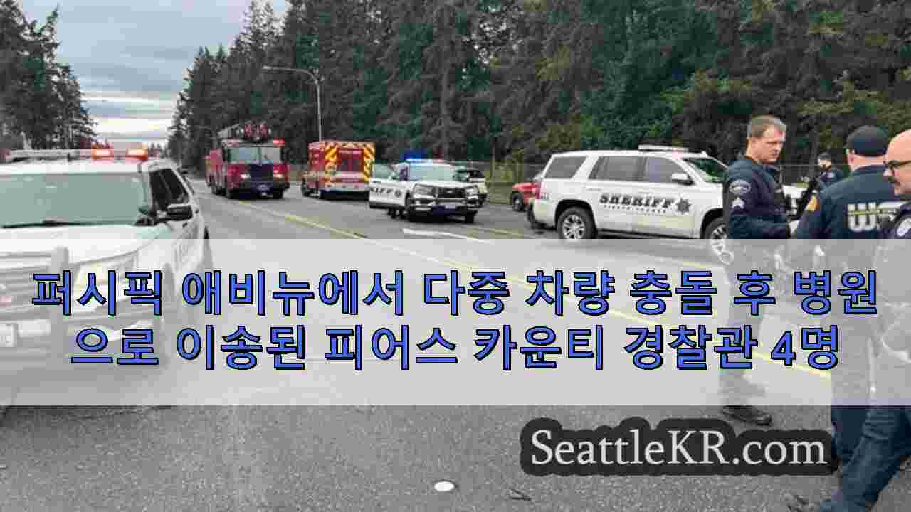 시애틀 뉴스 SeattleKR
