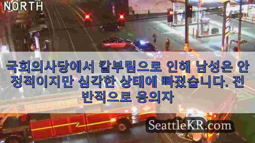 국회의사당에서 칼부림으로 인해 남성은 안정적이지만 심각한 상태에