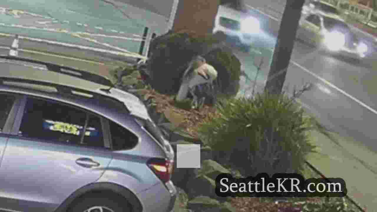 시애틀 뉴스 SeattleKR