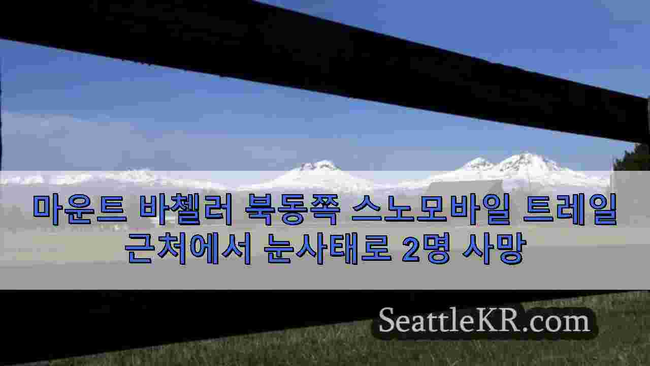 시애틀 뉴스 SeattleKR