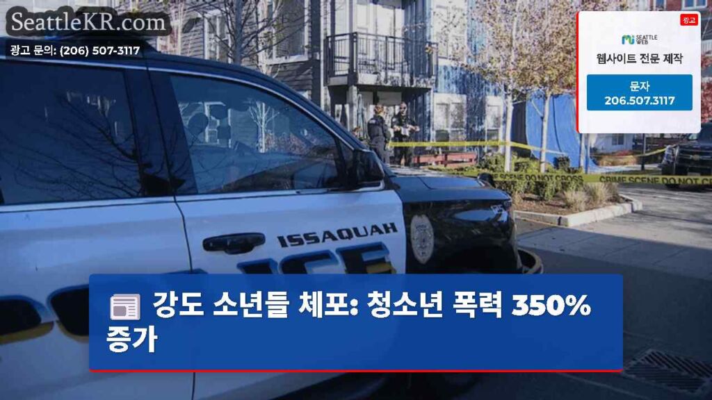 강도 소년들 체포: 청소년 폭력 350% 증가