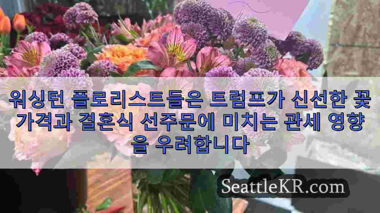 시애틀 뉴스 SeattleKR