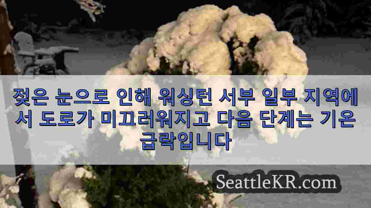 시애틀 뉴스 SeattleKR