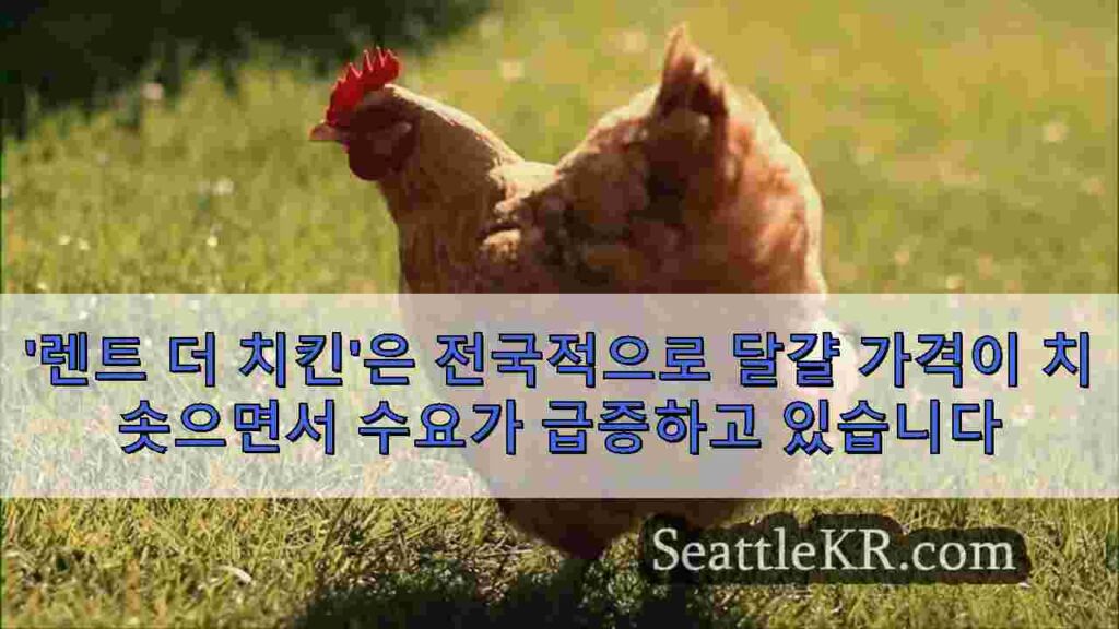 '렌트 더 치킨'은 전국적으로 달걀 가격이 치솟으면서 수요가 급증하고