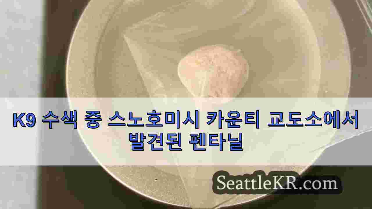 시애틀 뉴스 SeattleKR