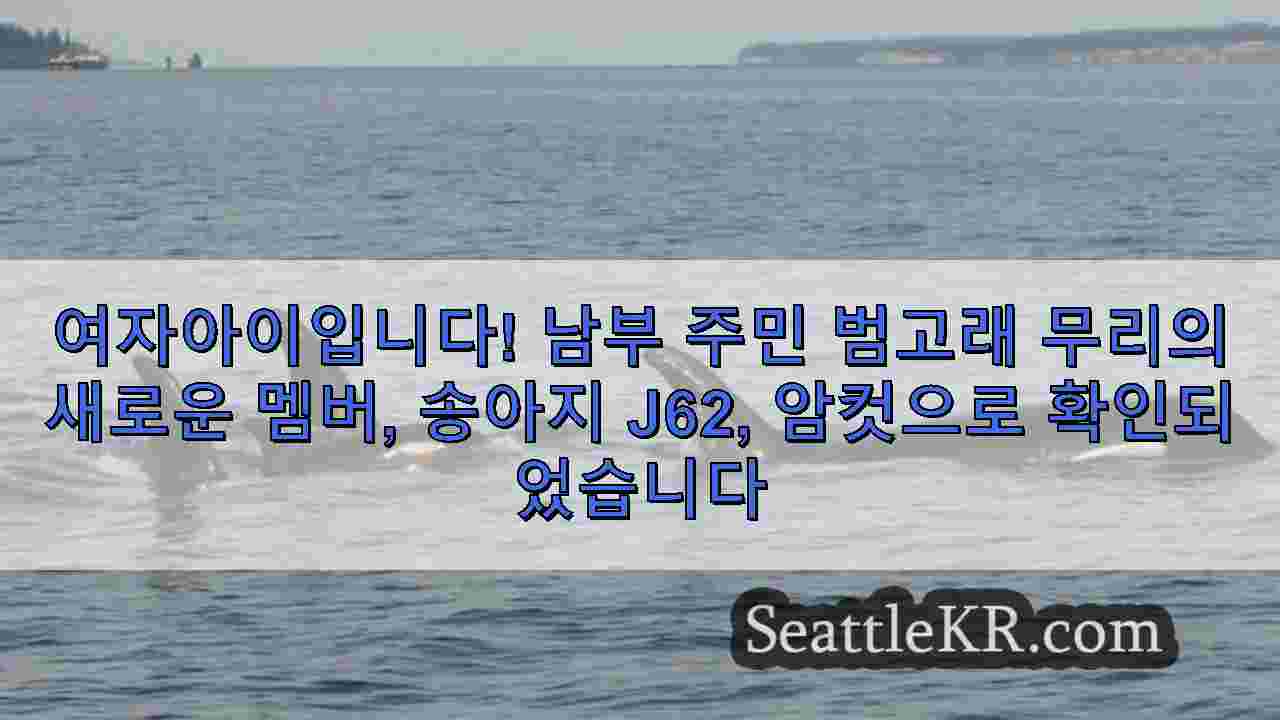 시애틀 뉴스 SeattleKR