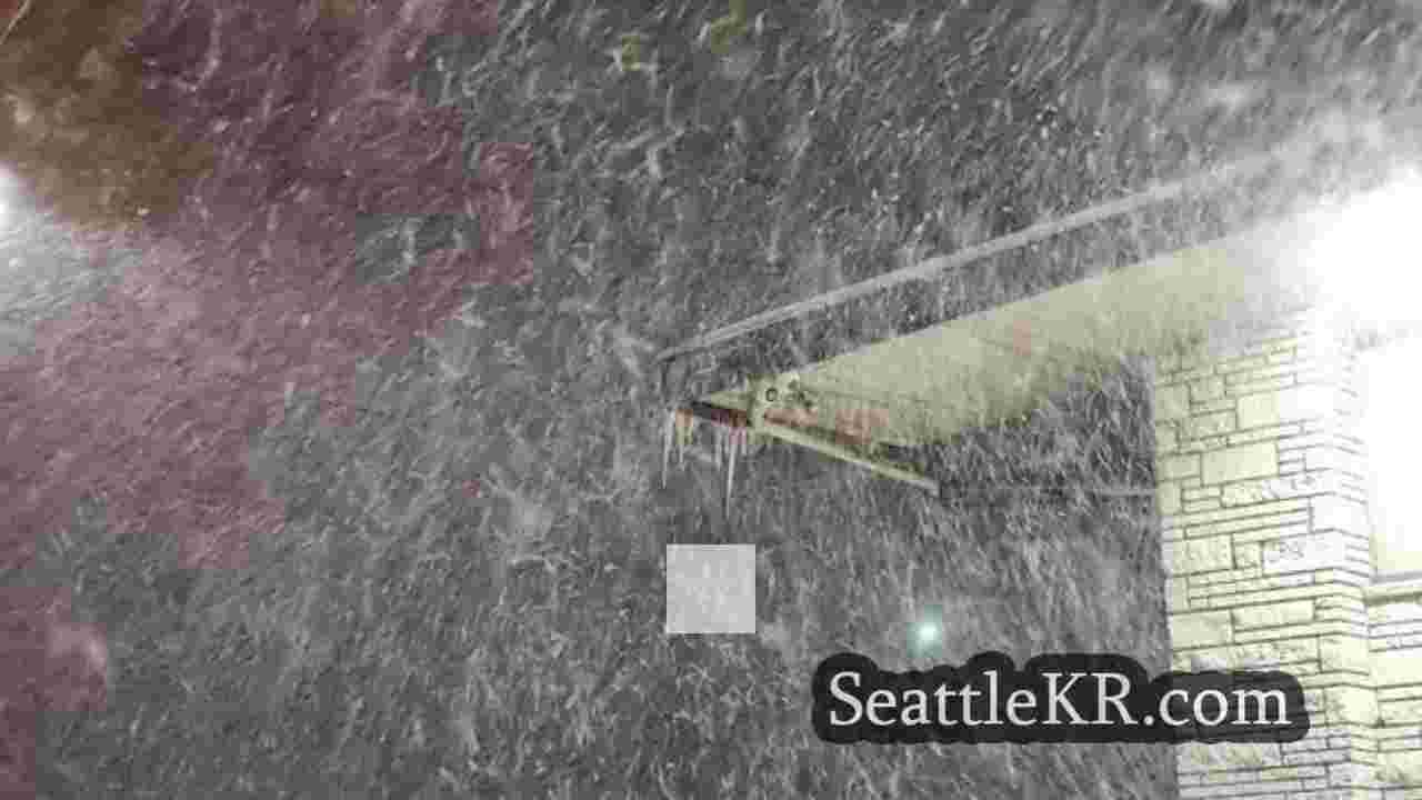 시애틀 뉴스 SeattleKR