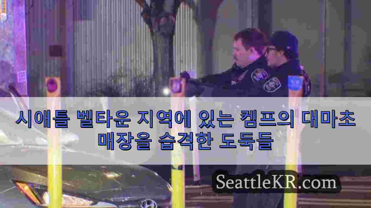 시애틀 뉴스 SeattleKR