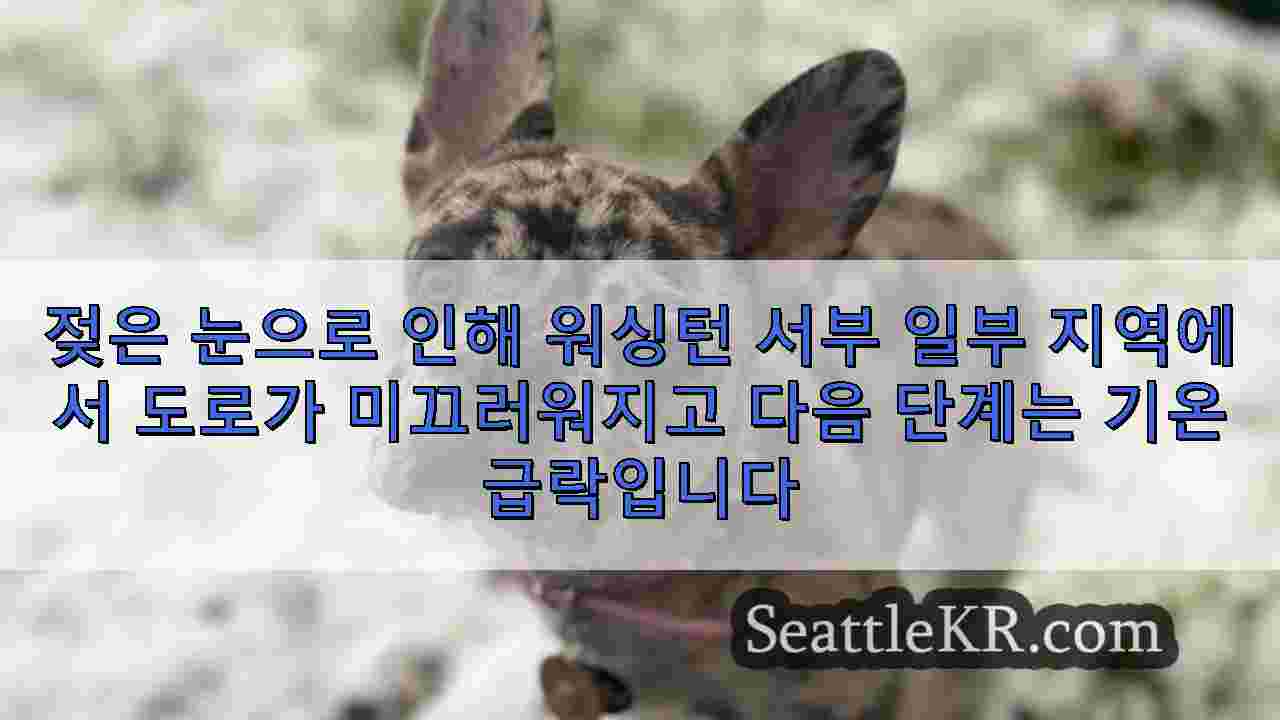 시애틀 뉴스 SeattleKR