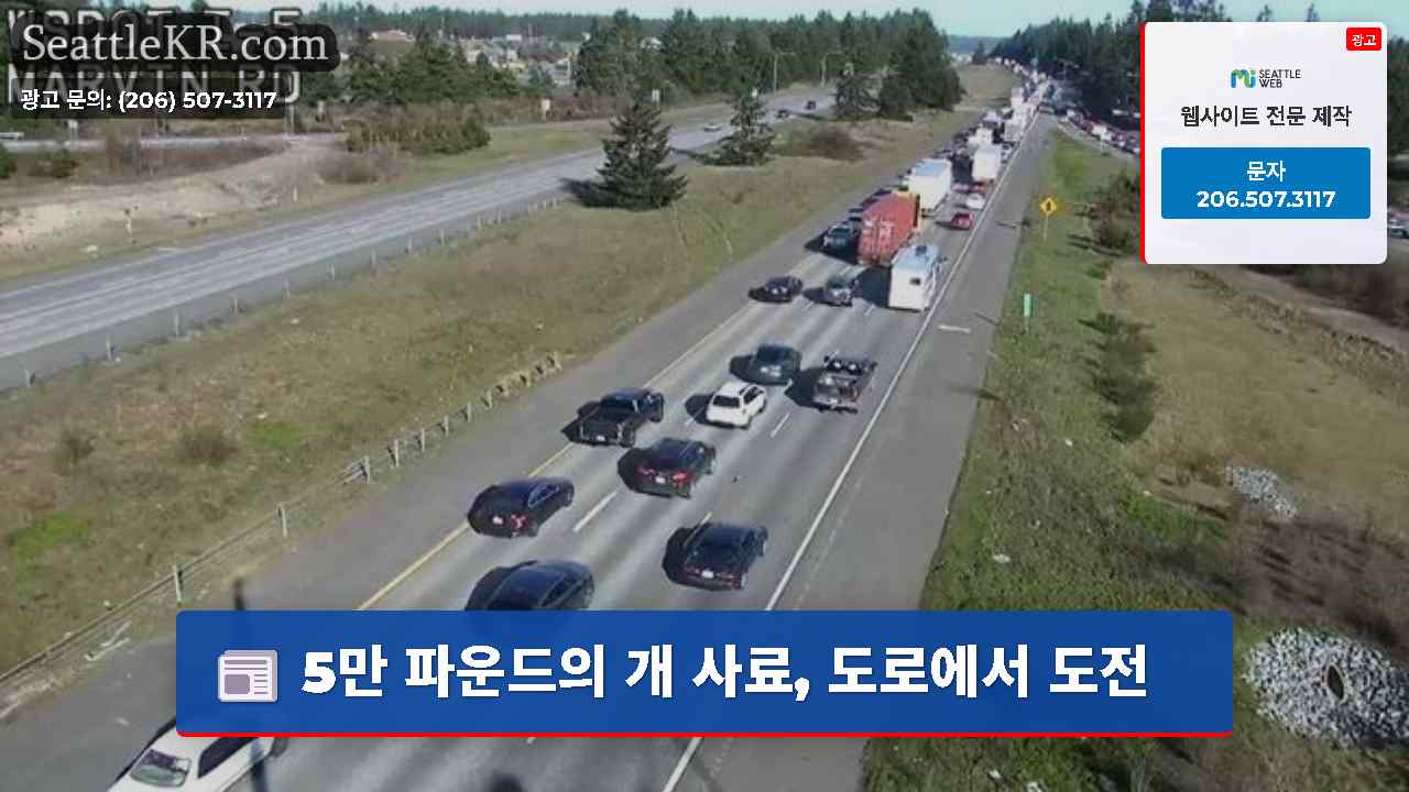 시애틀 뉴스 SeattleKR