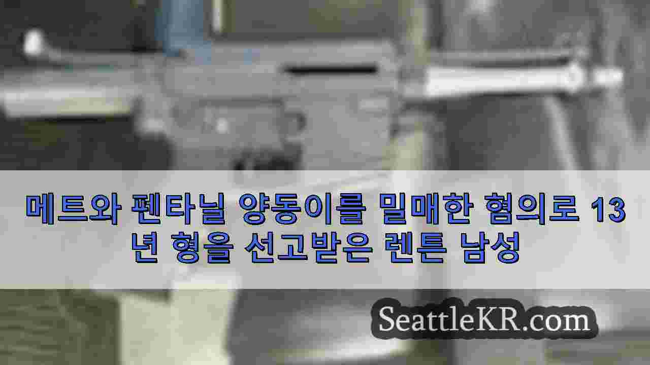 시애틀 뉴스 SeattleKR