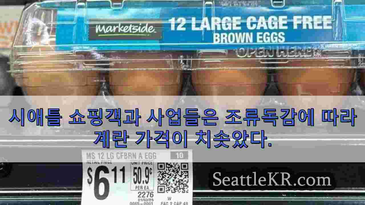 시애틀 뉴스 SeattleKR