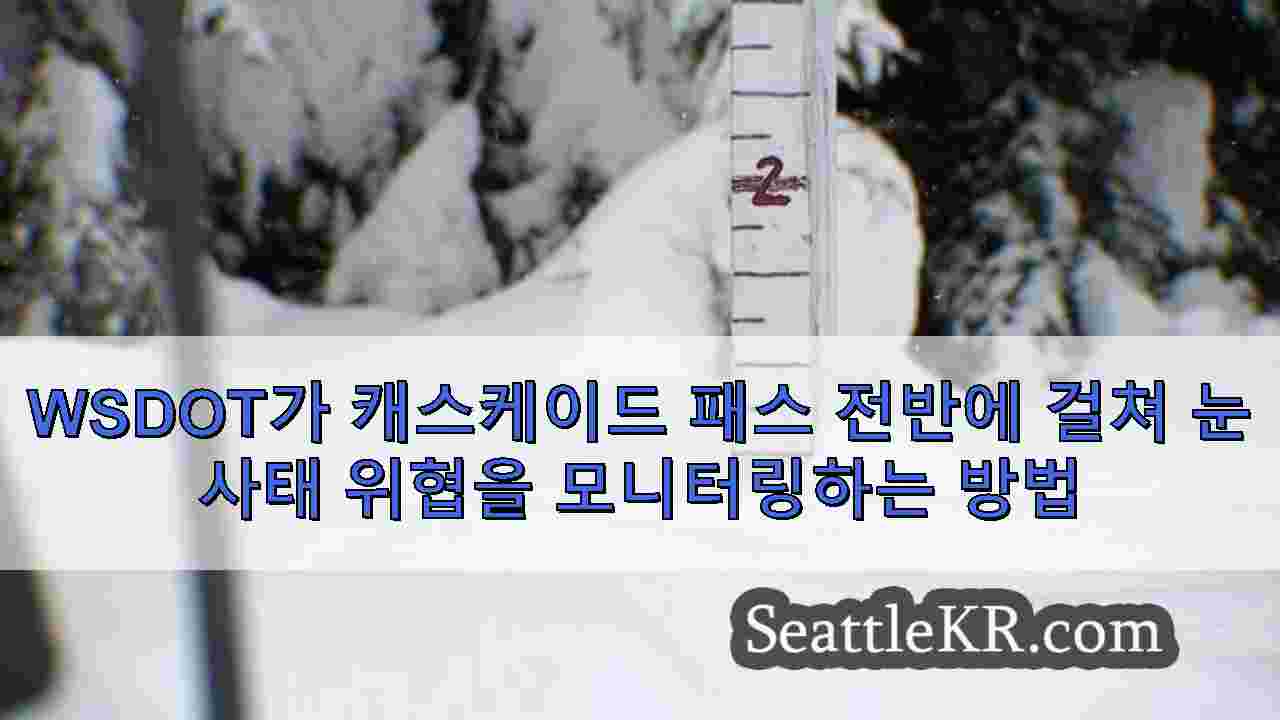 시애틀 뉴스 SeattleKR