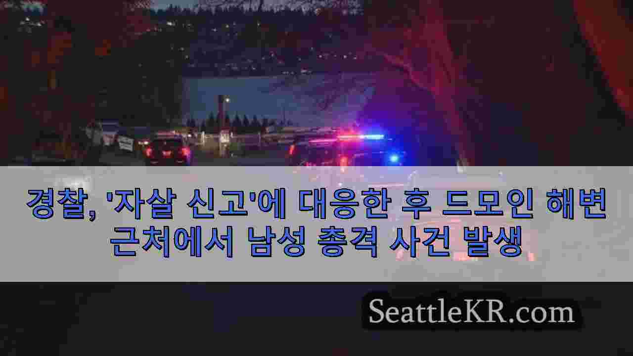 시애틀 뉴스 SeattleKR