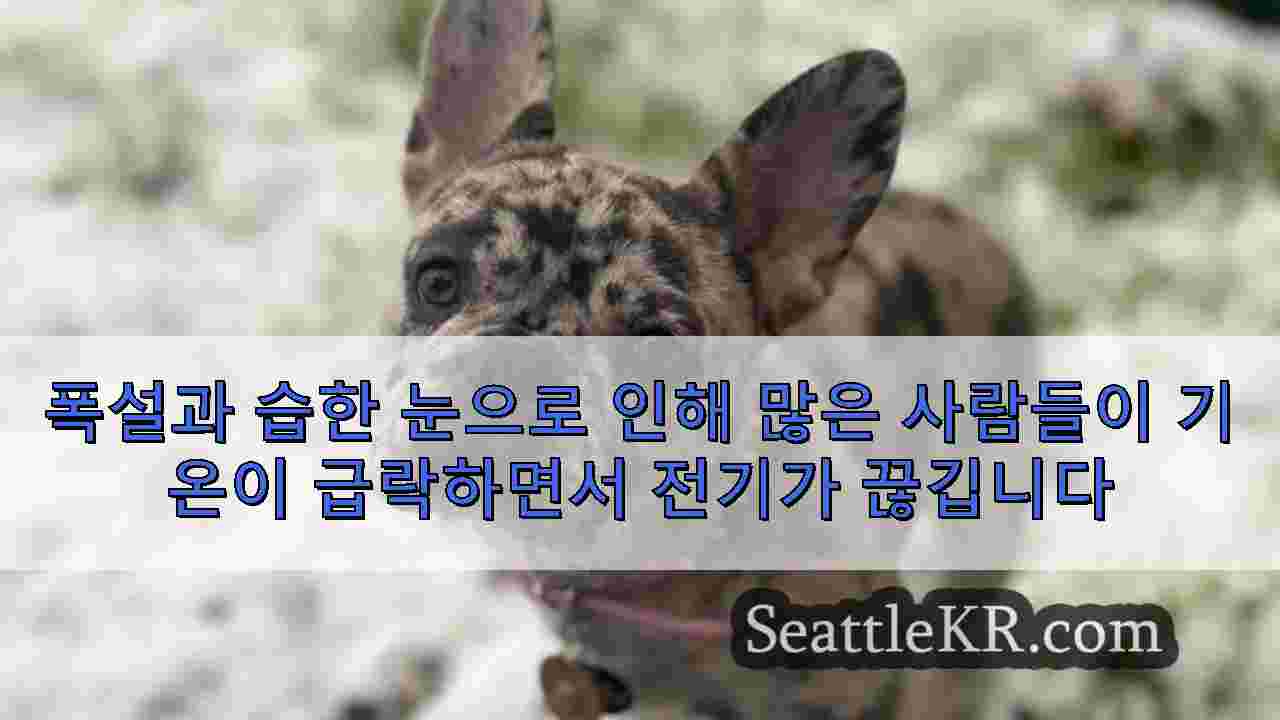 시애틀 뉴스 SeattleKR