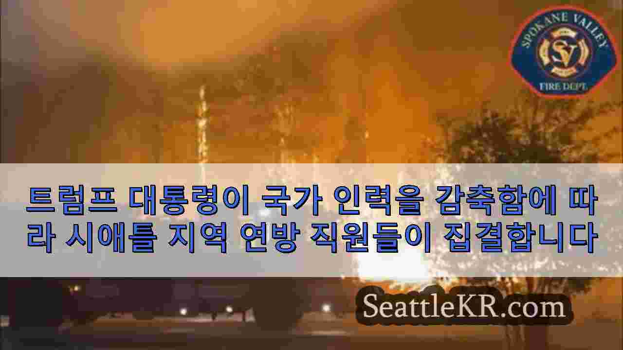 시애틀 뉴스 SeattleKR