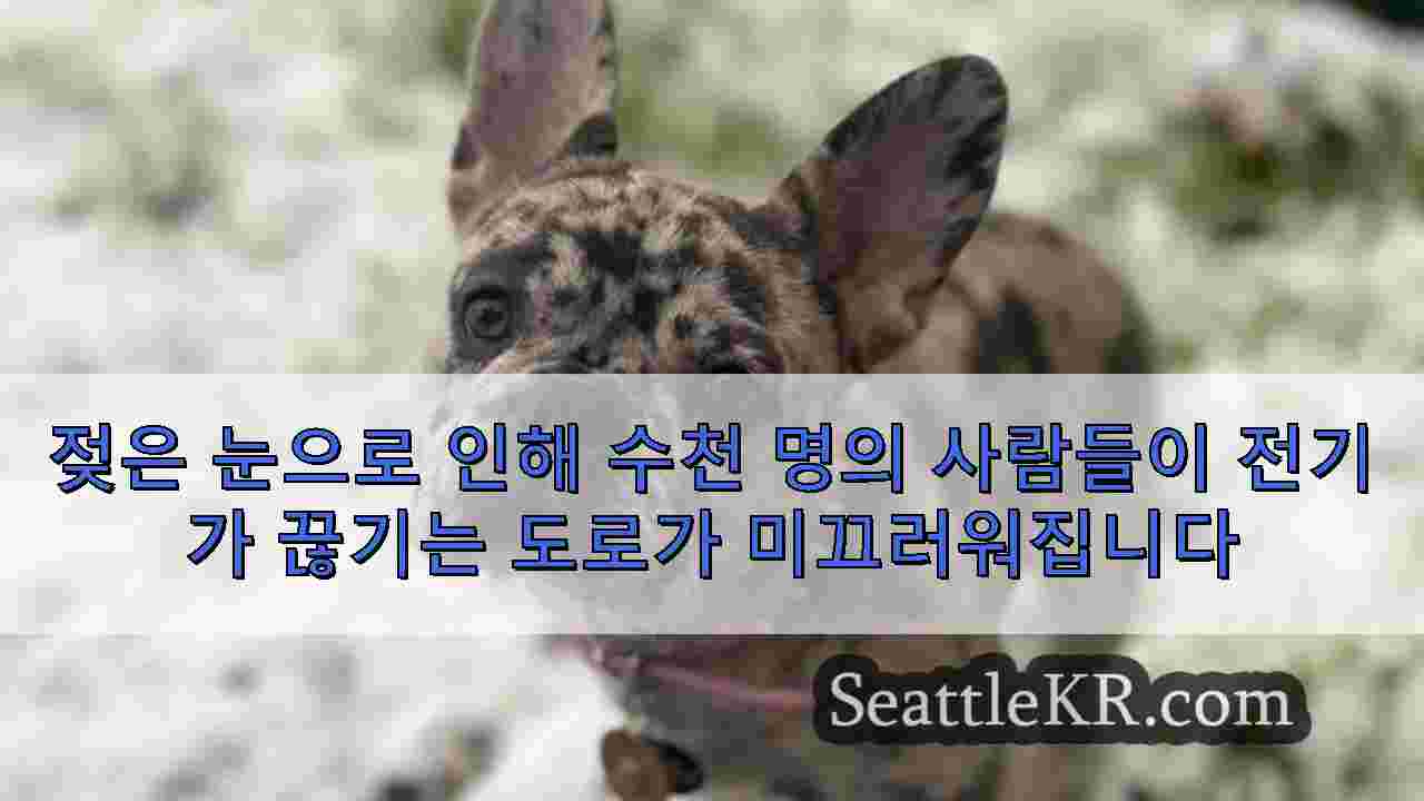 시애틀 뉴스 SeattleKR