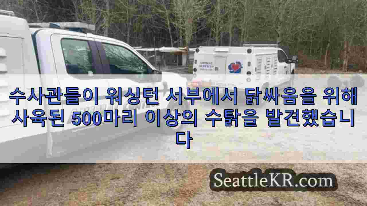시애틀 뉴스 SeattleKR