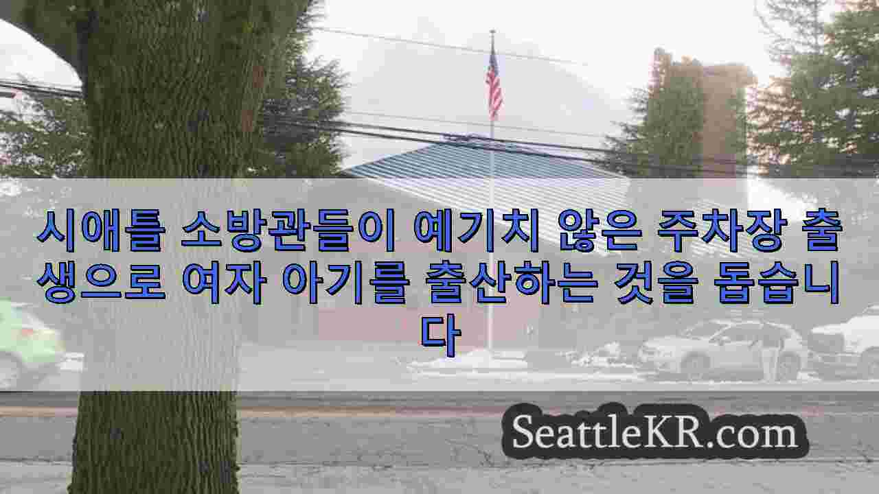 시애틀 뉴스 SeattleKR