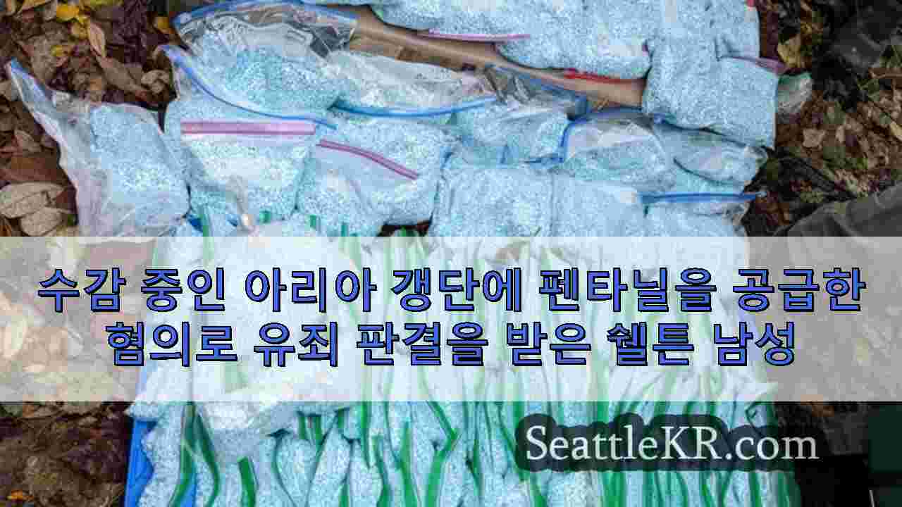 시애틀 뉴스 SeattleKR