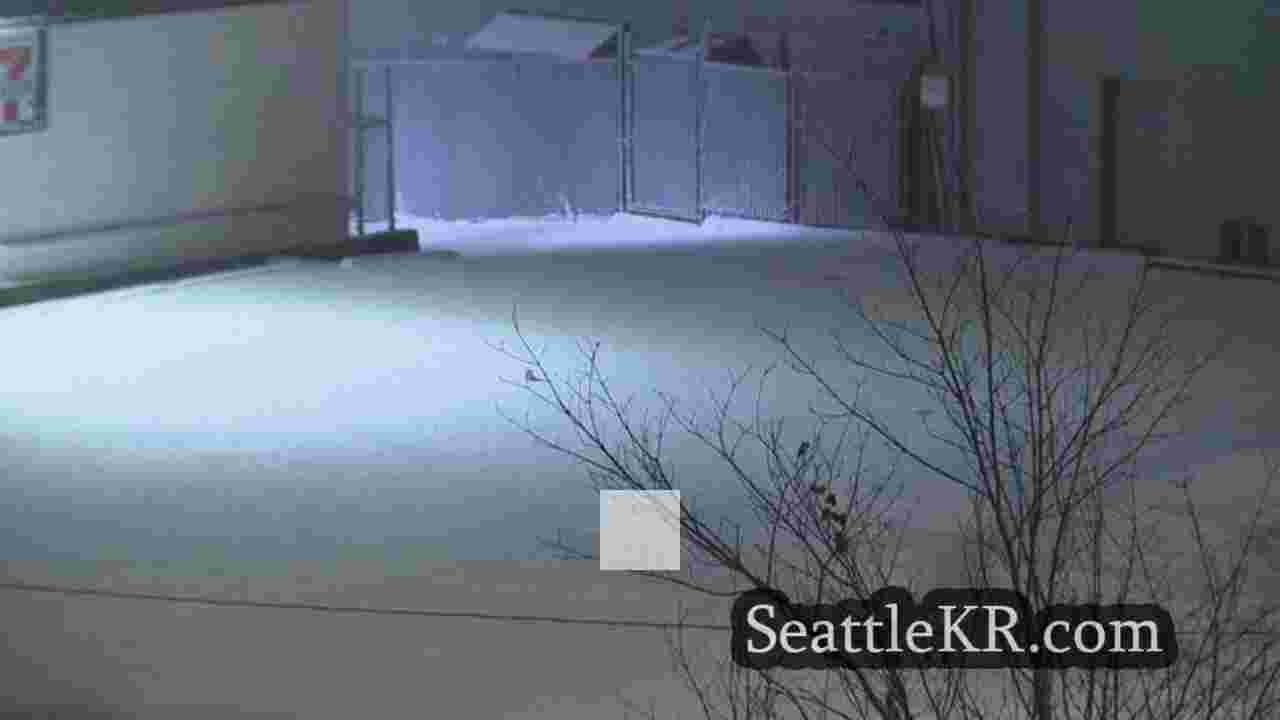 시애틀 뉴스 SeattleKR
