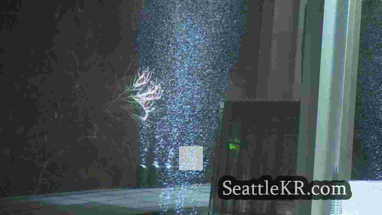 시애틀 뉴스 SeattleKR