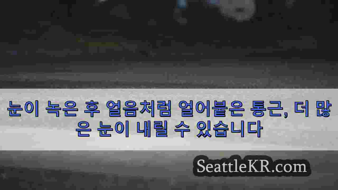 시애틀 뉴스 SeattleKR