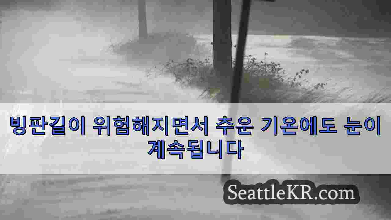 시애틀 뉴스 SeattleKR