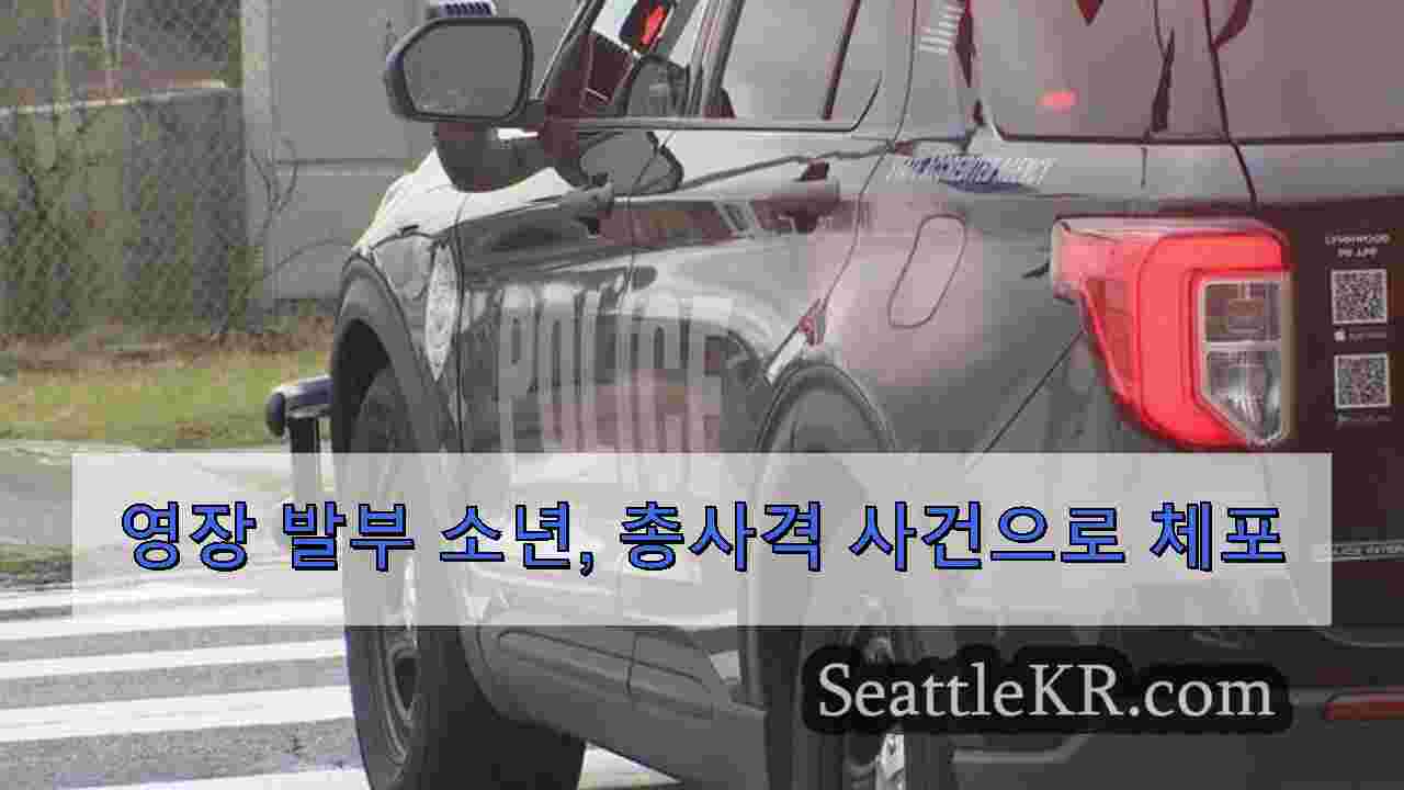 시애틀 뉴스 SeattleKR