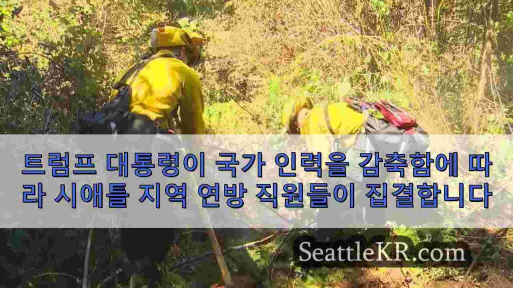 트럼프 대통령이 국가 인력을 감축함에 따라 시애틀 지역 연방 직원들이