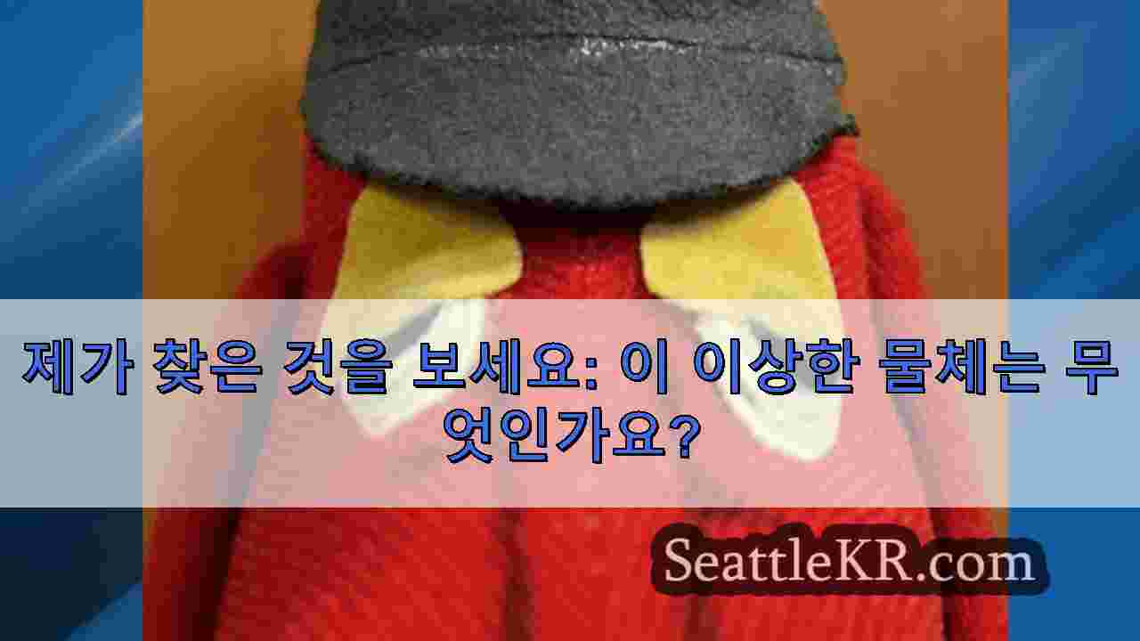 시애틀 뉴스 SeattleKR