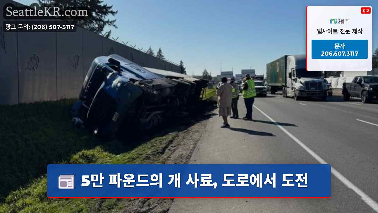 시애틀 뉴스 SeattleKR