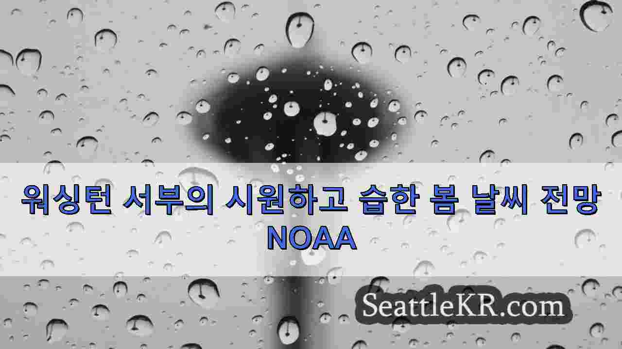 워싱턴 서부의 시원하고 습한 봄 날씨 전망 NOAA