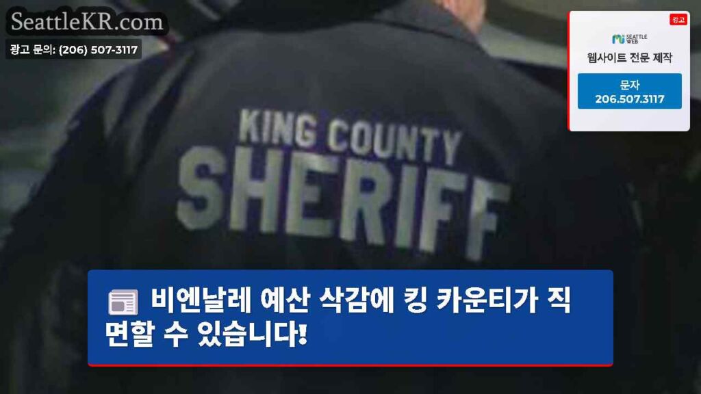 비엔날레 예산 삭감에 킹 카운티가 직면할 수 있습니다!
