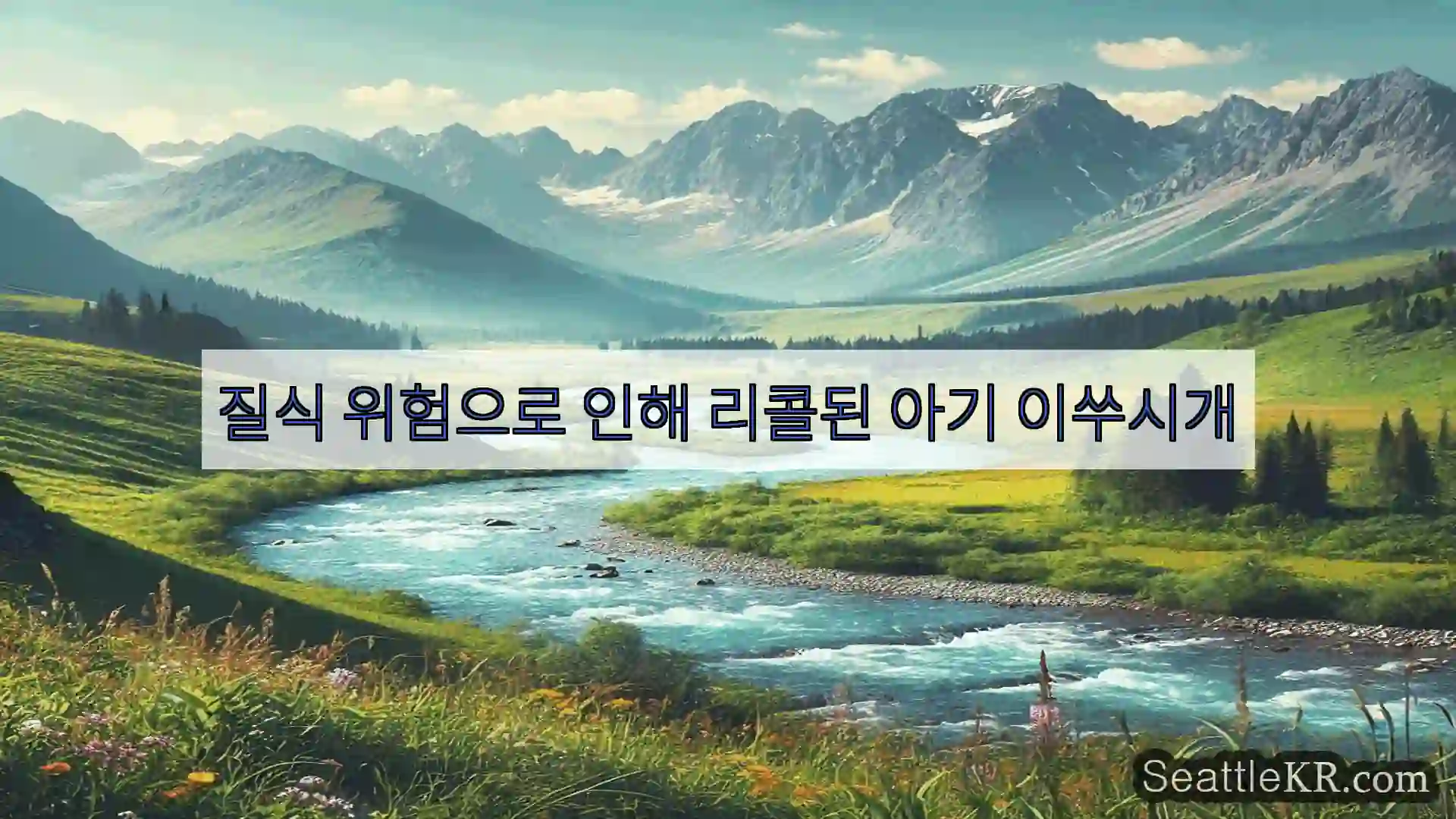 시애틀 뉴스 질식 위험으로 인해 리콜된 아기 이쑤시개
