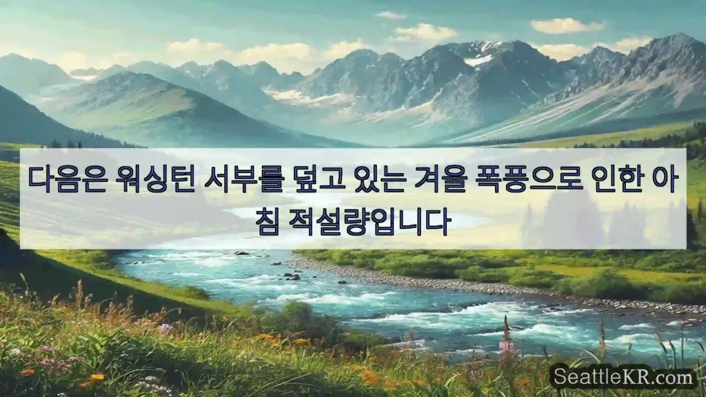 시애틀 뉴스 다음은 워싱턴 서부를 덮고 있는 겨울 폭풍으로 인한 아침