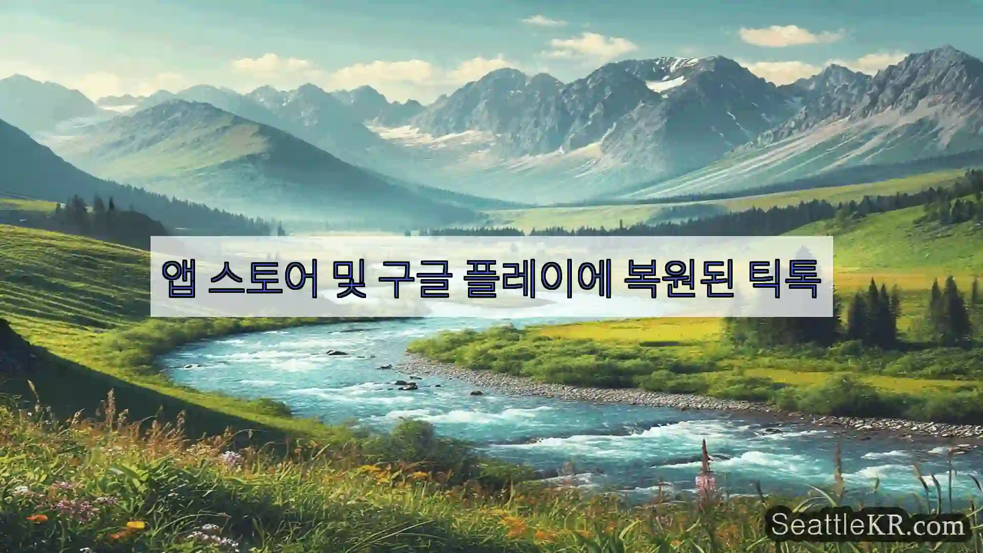 앱 스토어 및 구글 플레이에 복원된 틱톡
