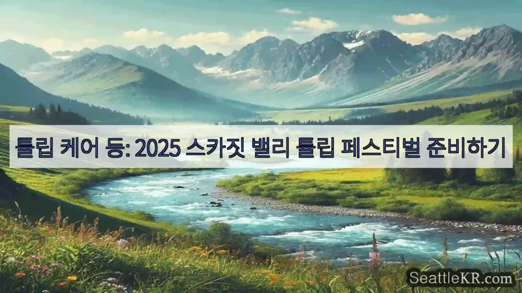 튤립 케어 등: 2025 스카짓 밸리 튤립 페스티벌 준비하기