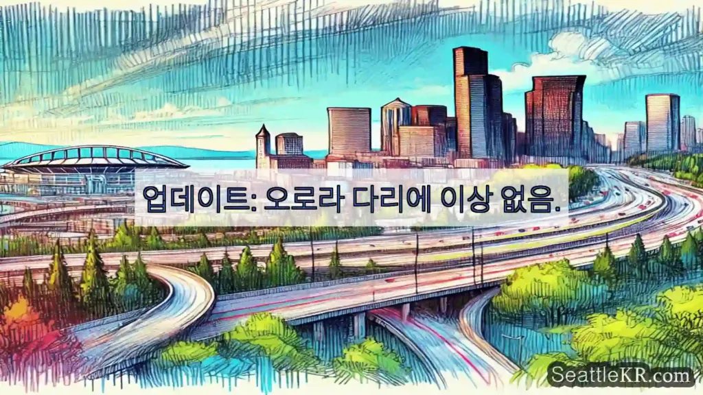 업데이트: 오로라 다리에 이상 없음.