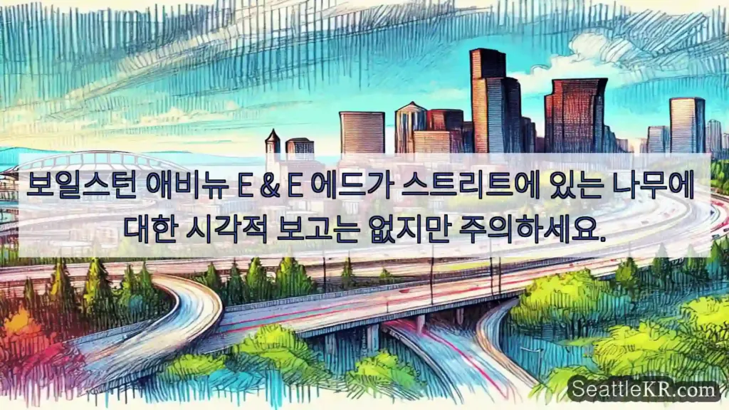 보일스턴 애비뉴 E & E 에드가 스트리트에 있는 나무에 대한 시각적 보고는 없지만