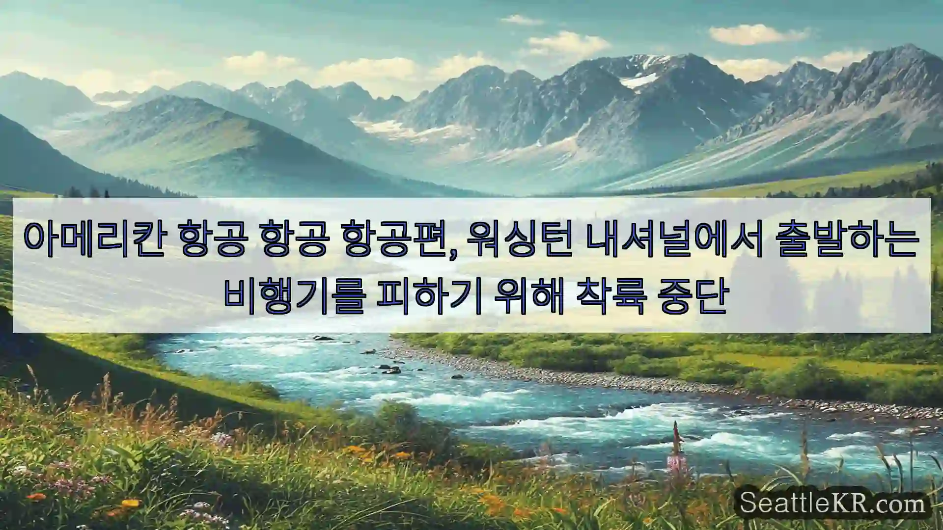 아메리칸 항공 항공 항공편, 워싱턴 내셔널에서 출발하는 비행기를 피하기 위해 착륙 중단