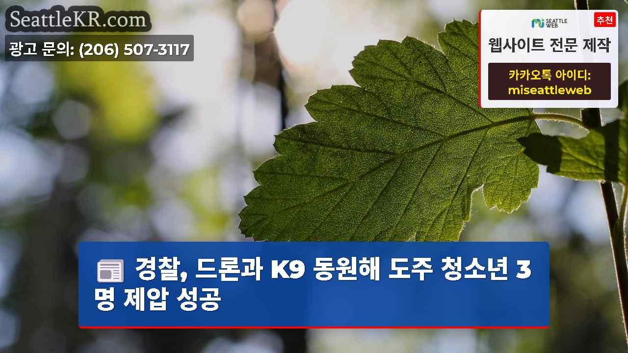 시애틀 뉴스 SeattleKR