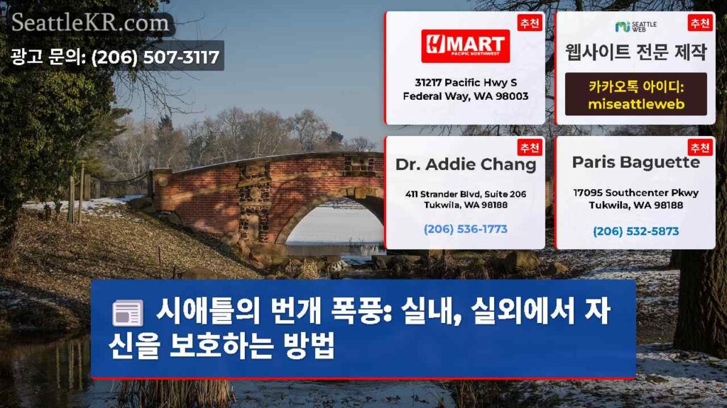 시애틀의 번개 폭풍: 실내, 실외에서 자신을 보호하는 방법