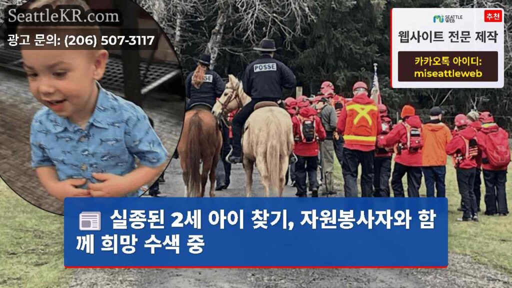 실종된 2세 아이 찾기, 자원봉사자와 함께 희망 수색 중