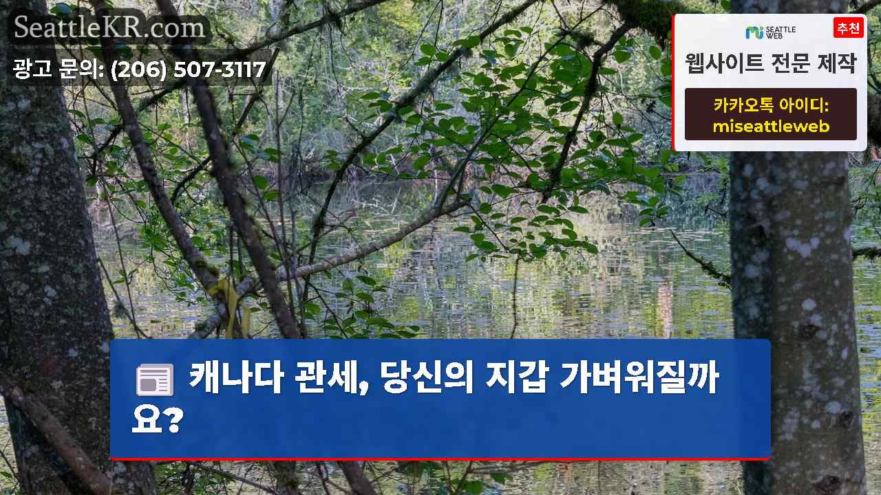 시애틀 뉴스 SeattleKR