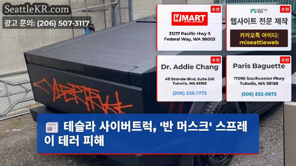테슬라 사이버트럭, '반 머스크' 스프레이 테러 피해